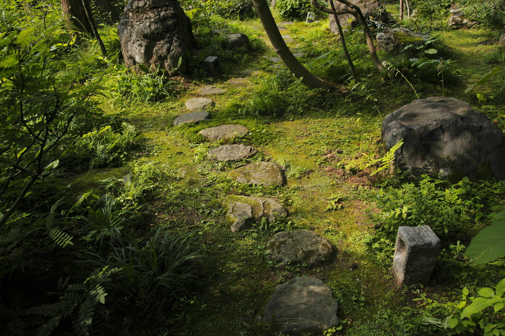Ichirino Kogen Hotel Roan Hakusan Esterno foto